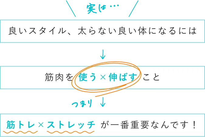 太らない体になるには、筋トレとストレッチをしてあげることが一番重要